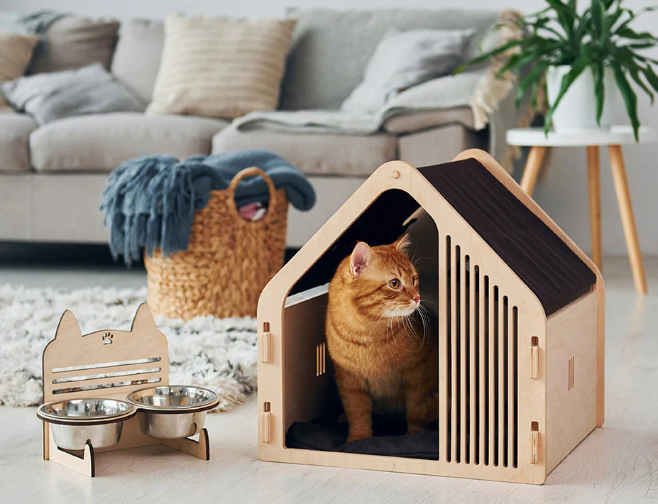 Cat in stylish wooden pet house and bowls of pet food on wooden stand.