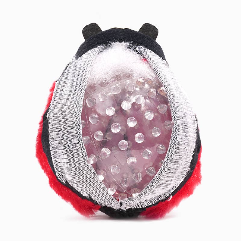 Dog toy resembling a ladybug with clear spiky ball inside on a white background.