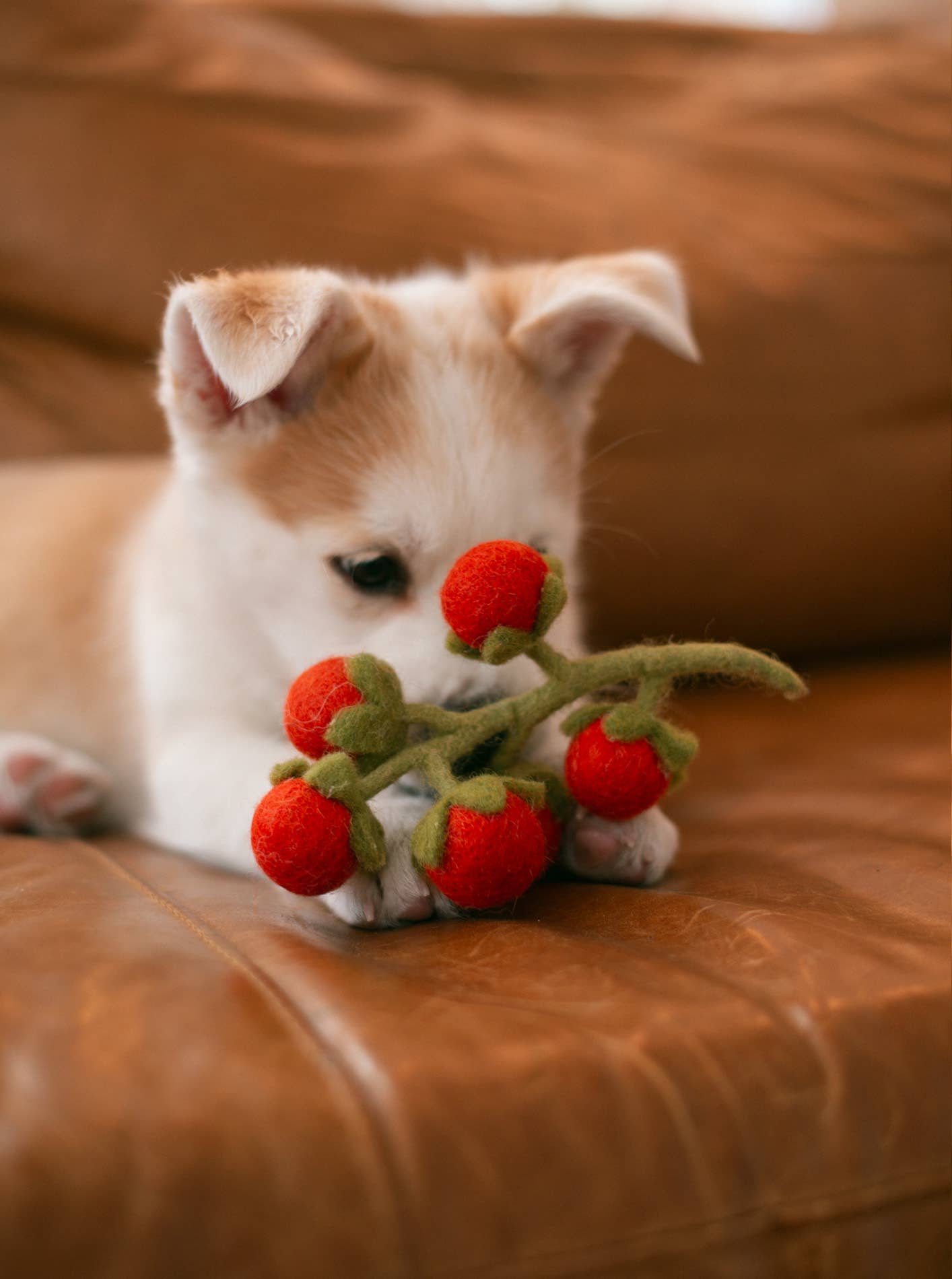 Vigne de tomates cerises en laine - Peluche