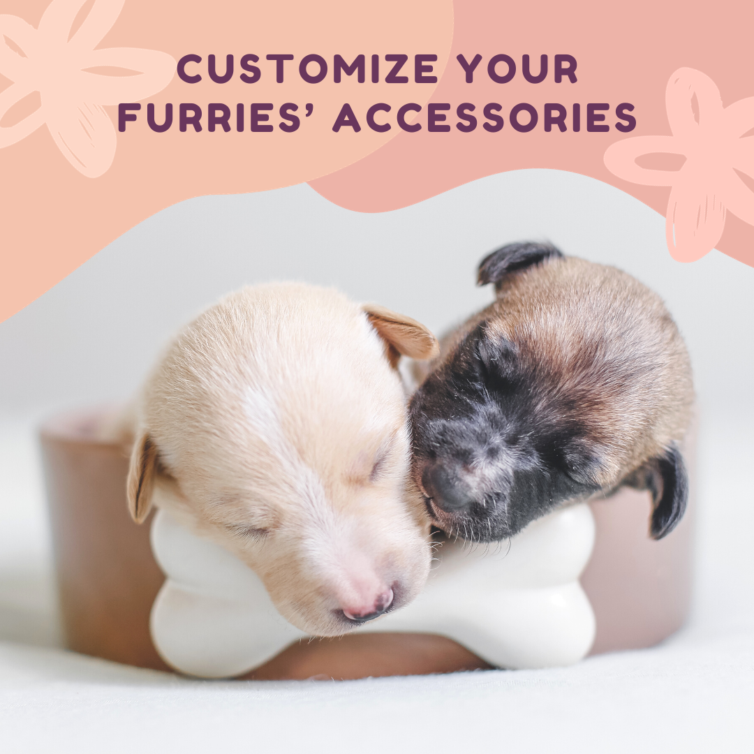 Customize your furries' accessories.