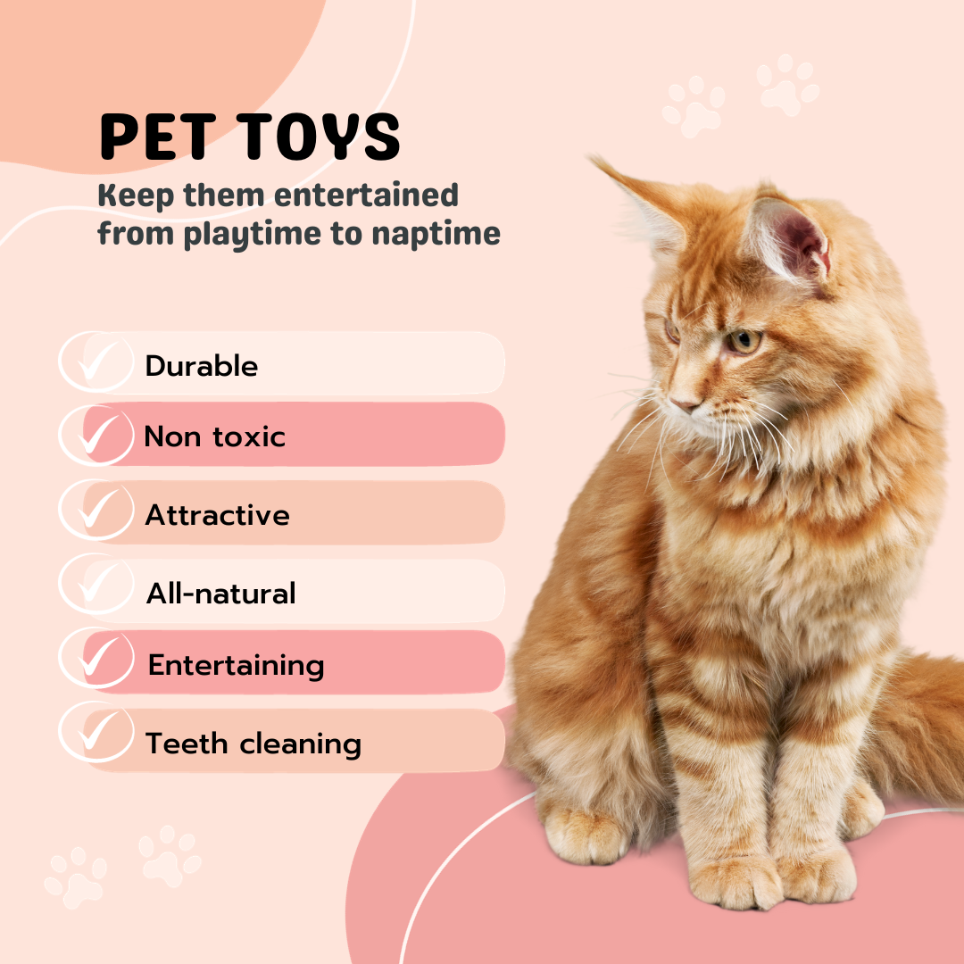 Pet Toys Keep them entertained from playtime to naptime: durable, non toxic, attractive, all-natural, entertaining, teeth cleaning.