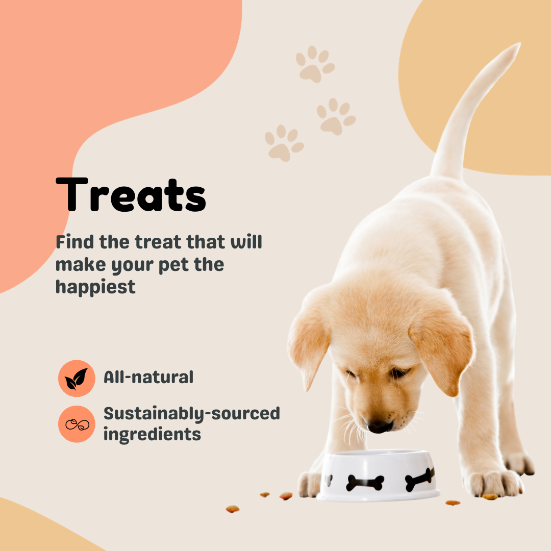 Pet Treats Find thre treat that will make your pet the happiest: all-natural, sustainably-sourced ingredients.