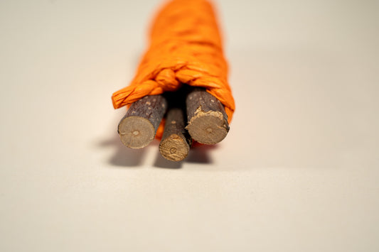 Close-up view of the 3 curled apple tree branches. | Vue rapprochée des 3 branches de pommier enroulées.