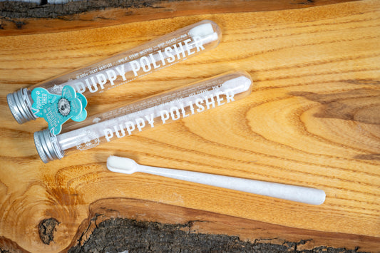 Toothbrush for medium to large dogs in its container placed on a wooden board. | Brosse à dents pour chien de moyenne à grande taille dans son contenant posé sur une planche de bois.