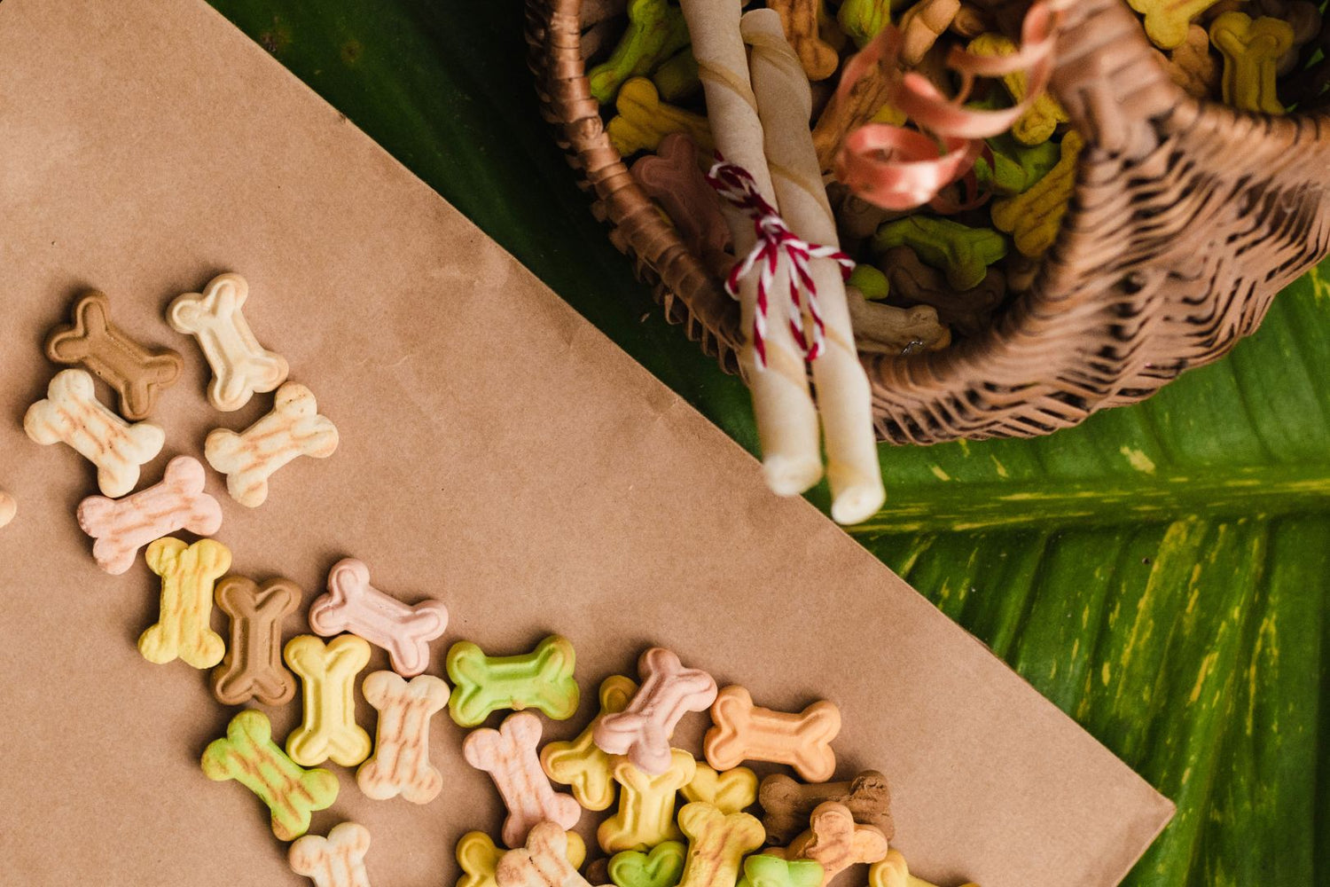 Guide to Healthy Dog Treats for Happy Dogs
