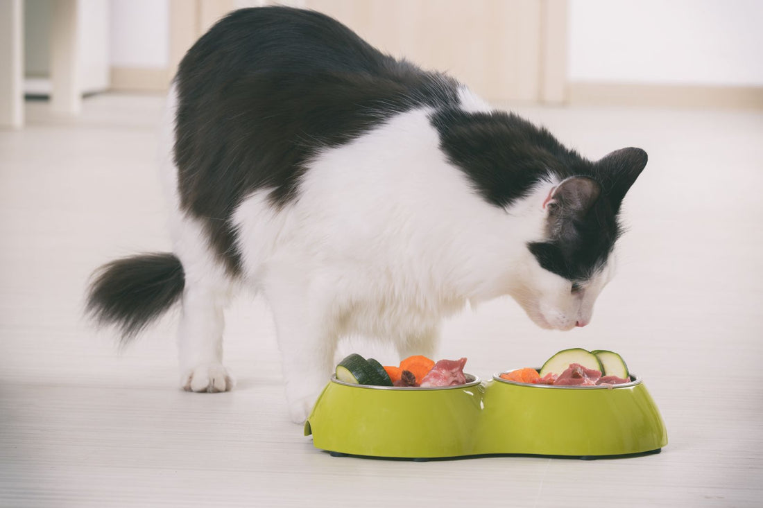 Natural Cat Food Toppers for Happier Meals