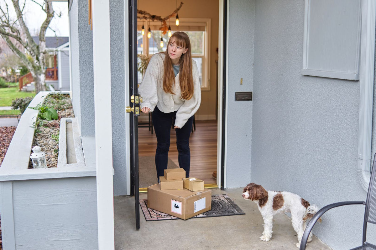 Same Day Pet Delivery Near Me, Made Simple