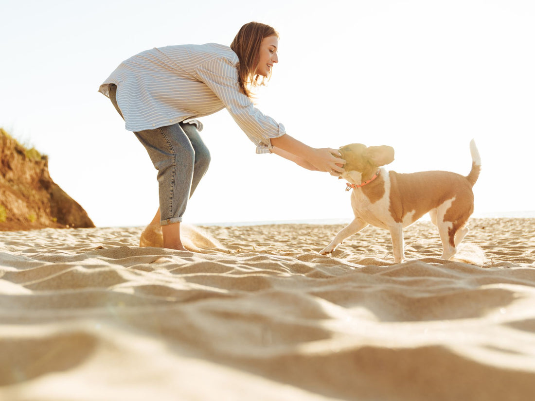 Pet owner playing with his dog