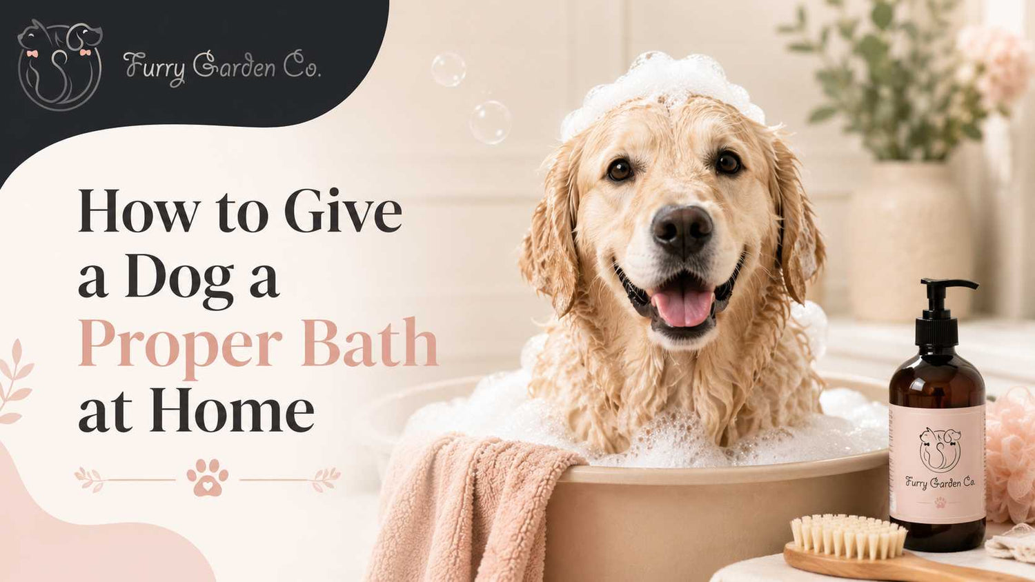 How to give a dog proper bath at home