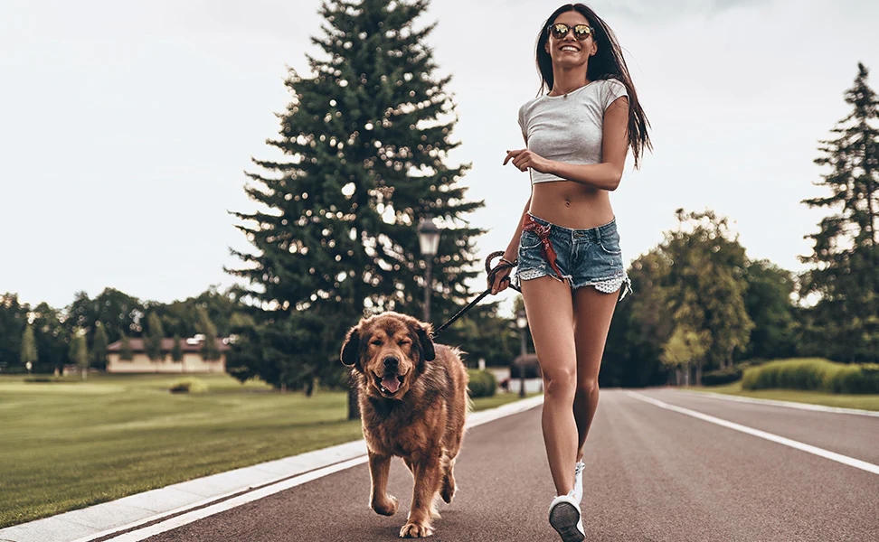 A Step-by-Step Guide to Jogging Training for Dogs