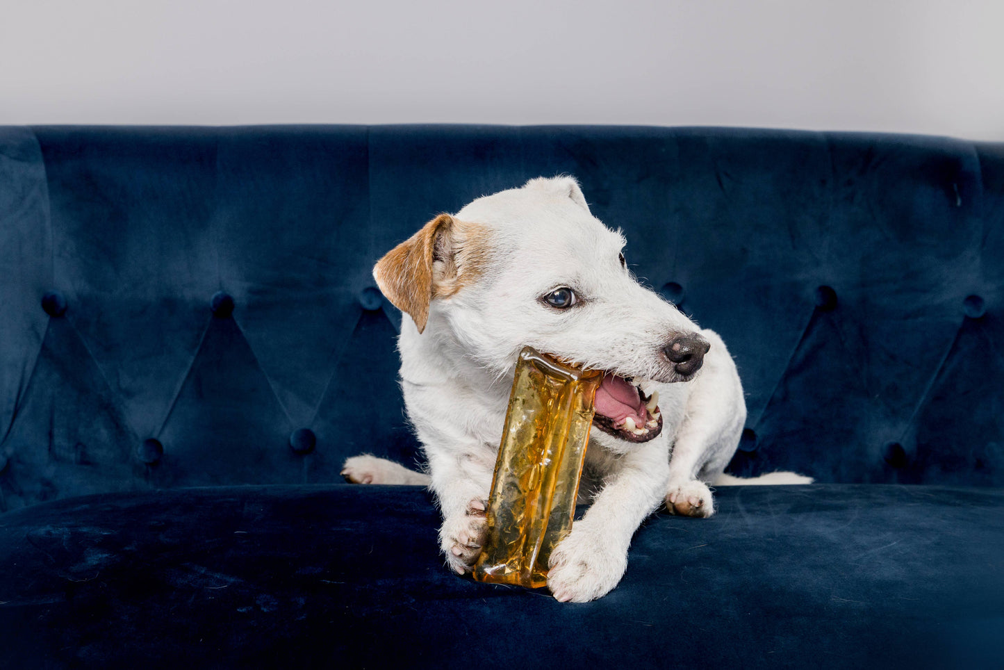 Pork Parsley Collagen Dental Chew