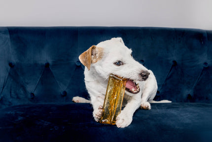 Pork Parsley Collagen Dental Chew