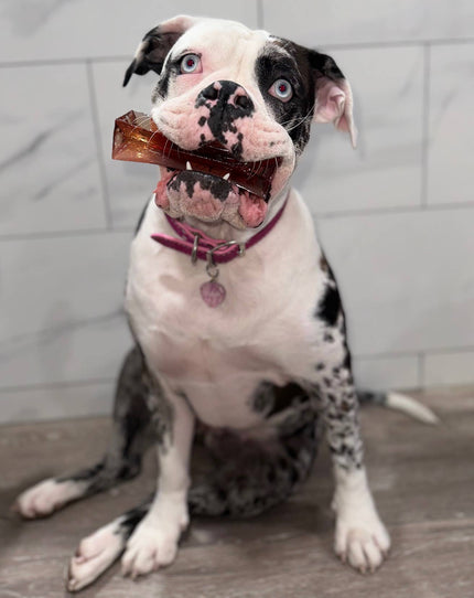 Pork Parsley Collagen Dental Chew