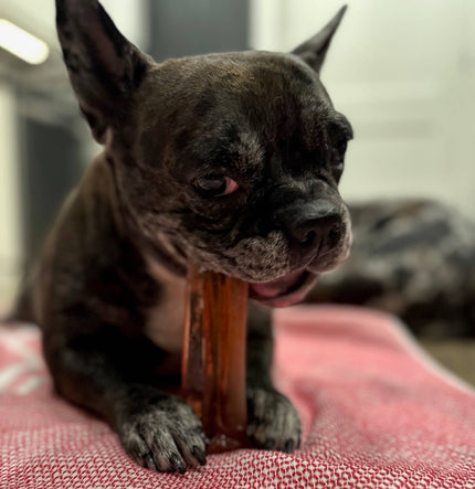 Pork Parsley Collagen Dental Chew