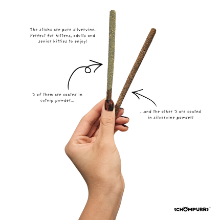 Pawky Silvervine & Catnip Dental Chew Sticks