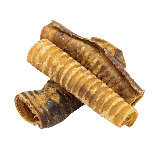 Large Beef Trachea
