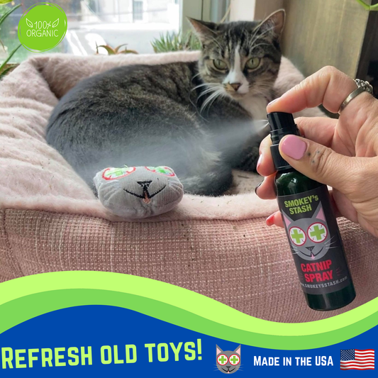 Catnip Spray