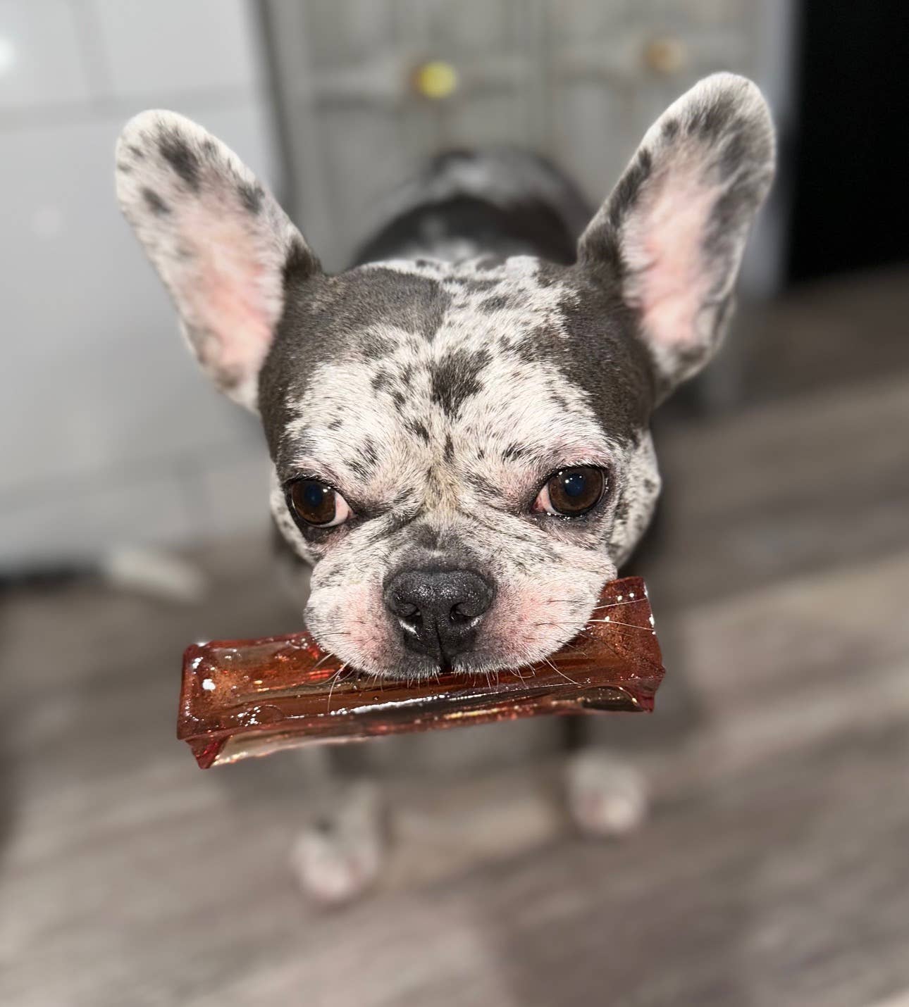 Pork Parsley Collagen Dental Chew