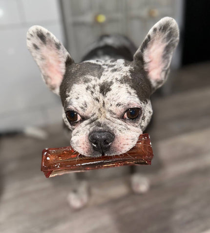 Pork Parsley Collagen Dental Chew