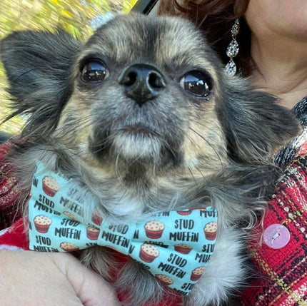 Nœud papillon Muffin - Noeud papillon
