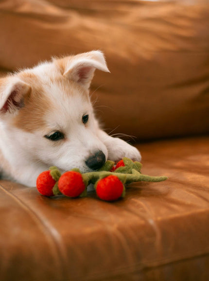 Vigne de tomates cerises en laine - Peluche