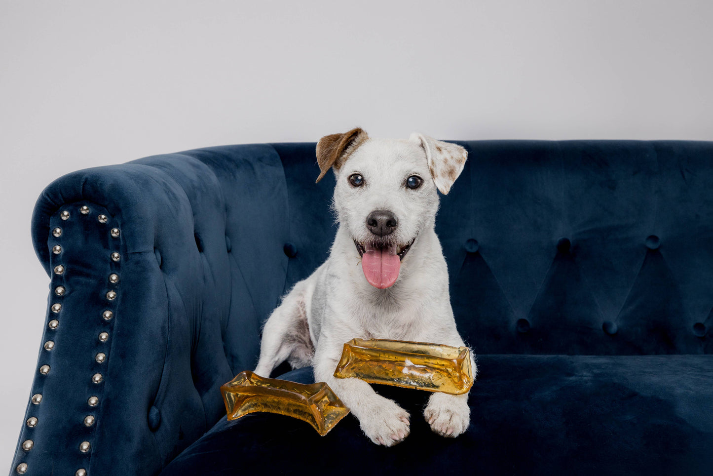 Bacon Collagen Dental Chew