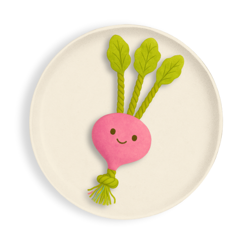Red Root Plush Squeaky with Rope Stem