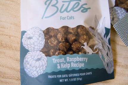 Close-up view on a bag of bites for cats dry cat treats.