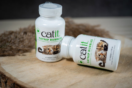Des bulles d'herbe à chat pour divertir votre chat sans gâchis.