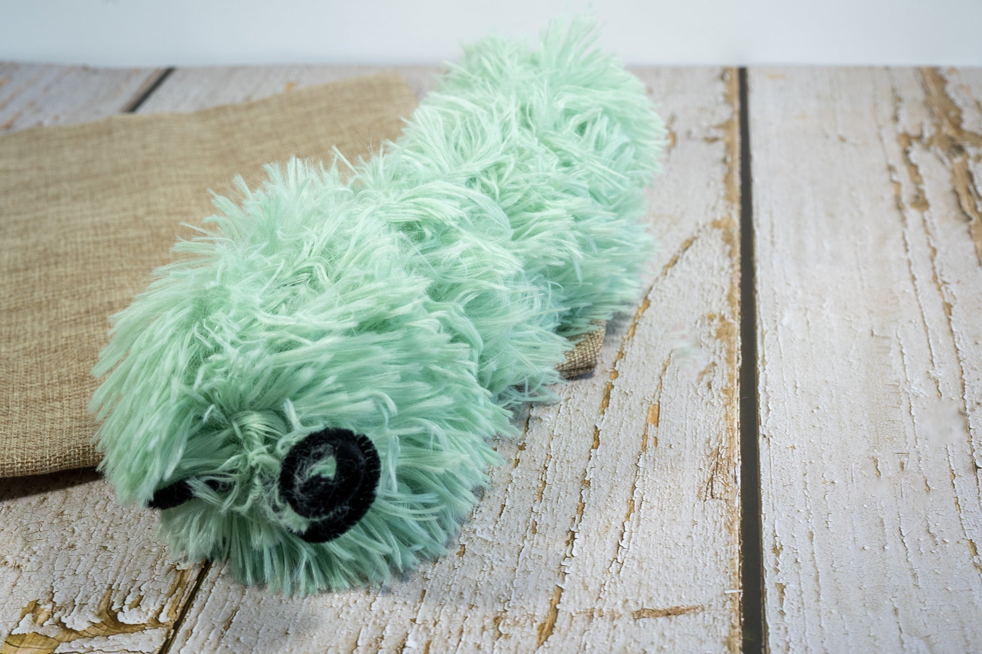 Side view of green cat plush toy in the shape of a caterpillar and filled with catnip. | Vue latérale d'une chenile verte en peluche pour chat rempli d'herbe à chat.