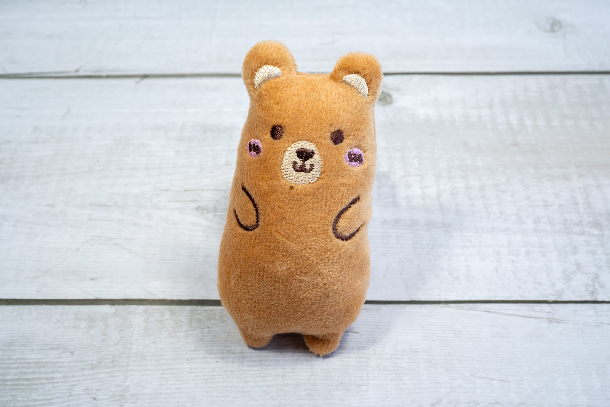 Bear cat toy filled with catnip. | Jouet pour chat en forme d'ourson rempli d'herbe à chat.