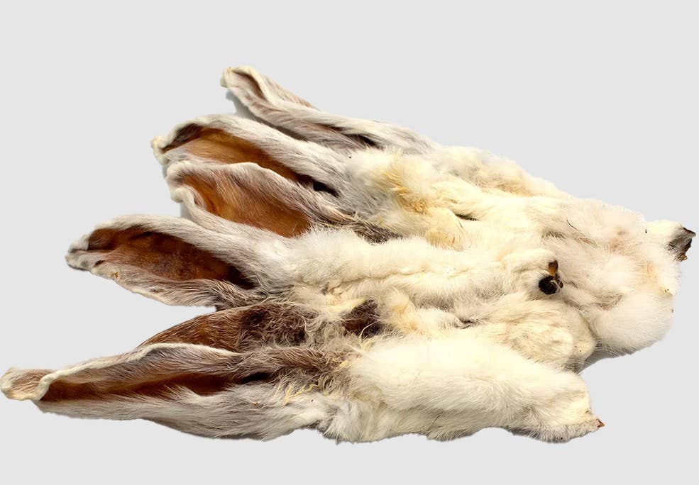 Oreilles de lapin poilues - Mâcher