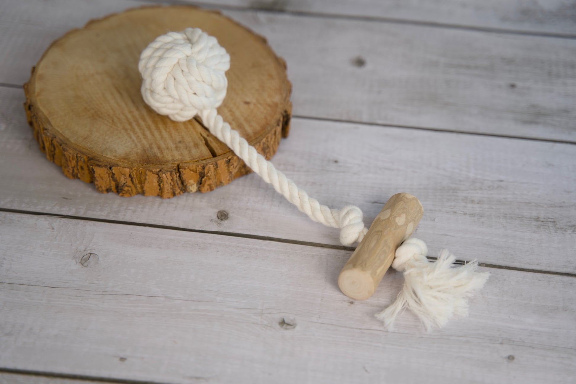 Jouet pour chien en corde et poignée en bois, posé sur une surface en bois.