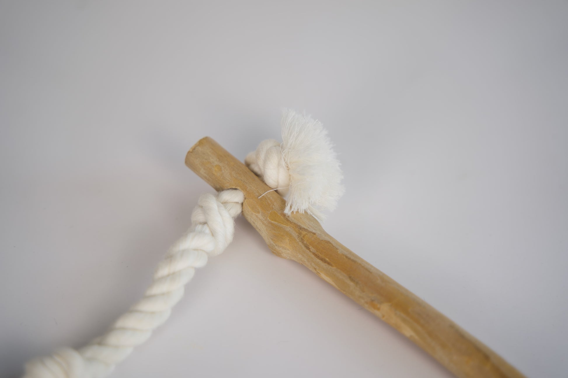 Vue rapprochée de la corde en coton attachée au perchoir d'oiseau.