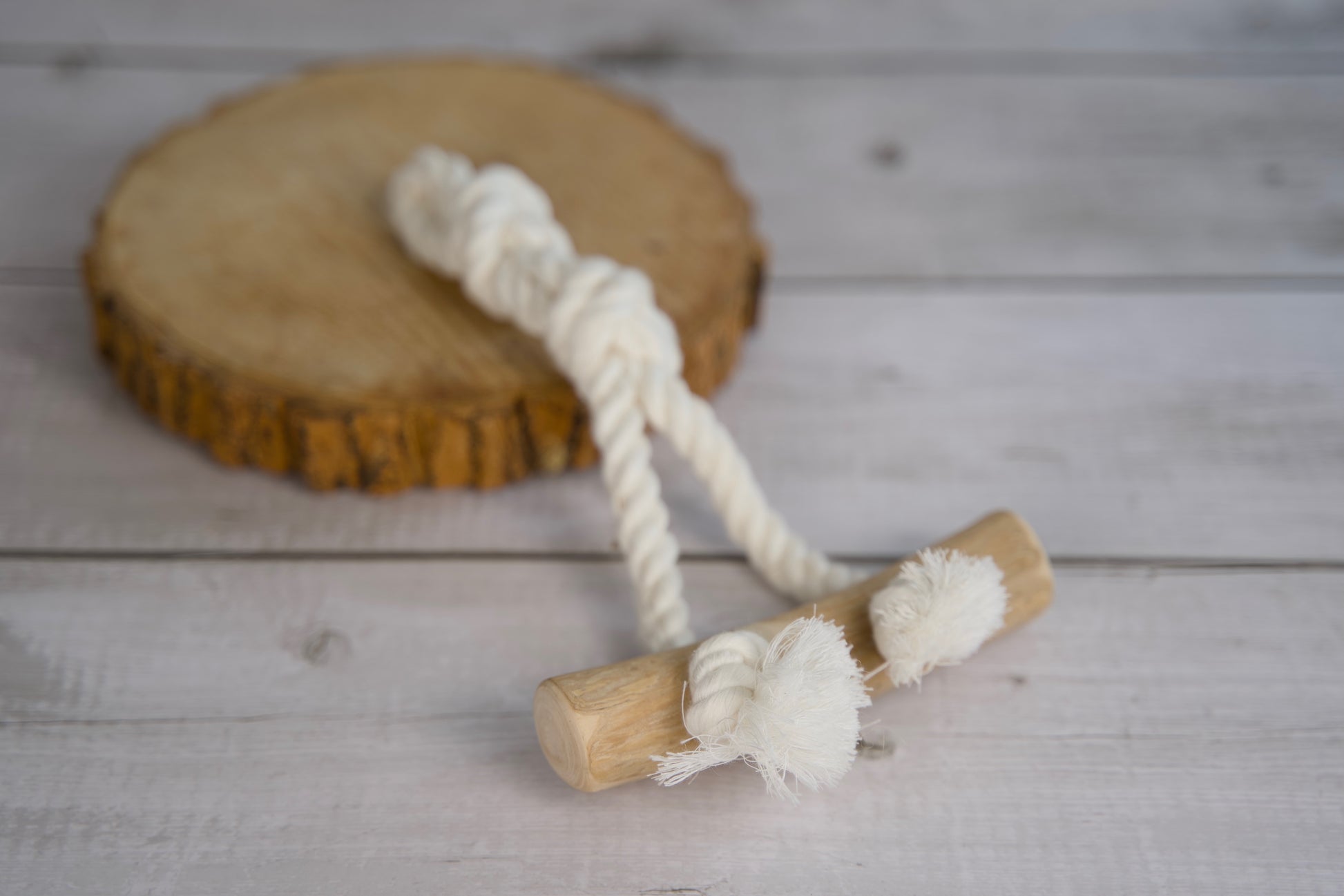 Jouet pour chien avec corde et pièce en bois, posé sur une surface en bois.