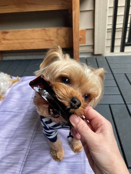 Bacon Collagen Dental Chew