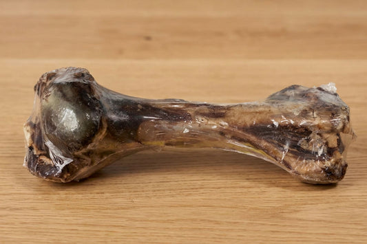 Dino Beef Bone