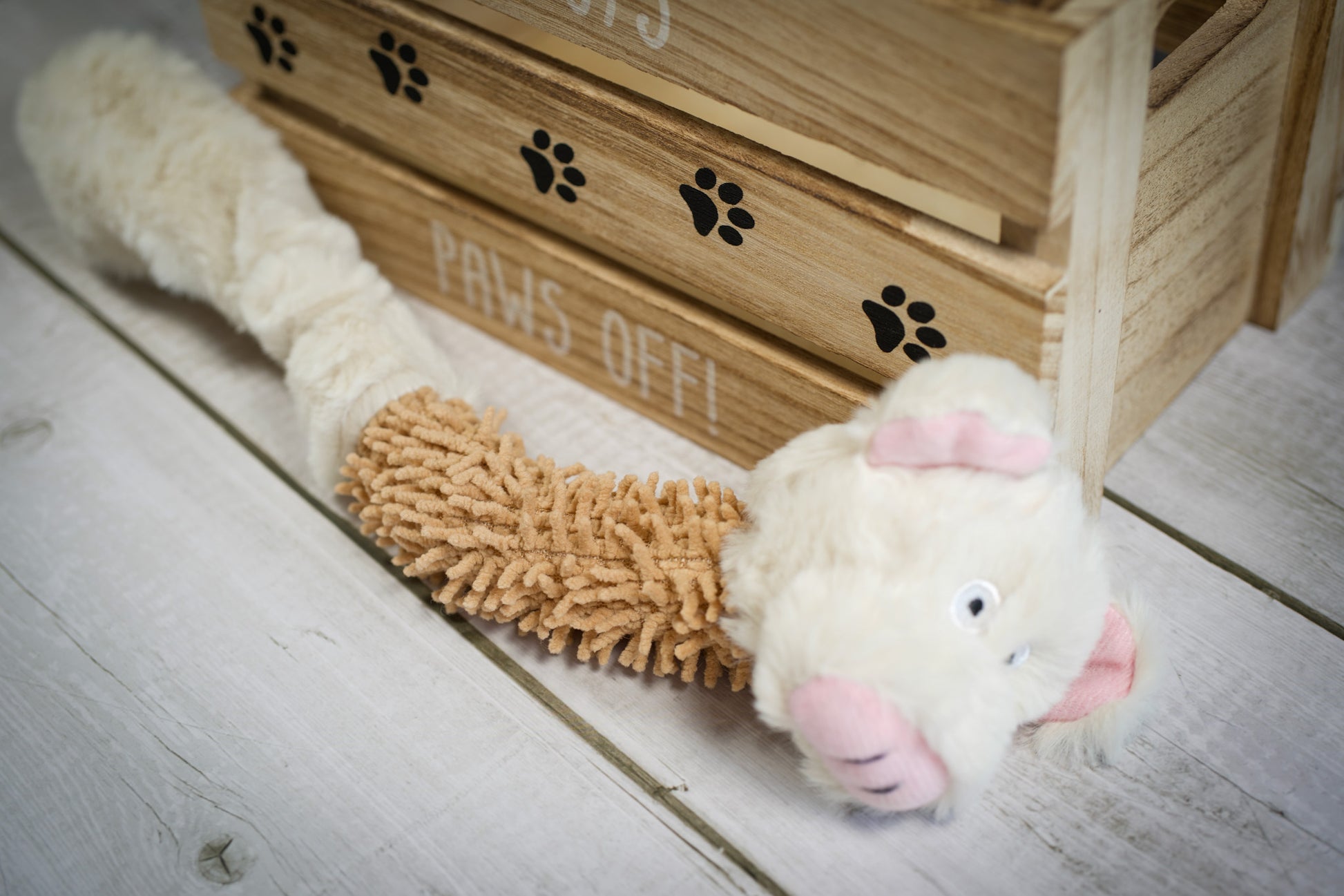 White and brown pig-face-shaped plush dog toy with 2 different textures. | Peluche pour chien en forme de tête de cochon blanche et marron avec 2 textures différentes.