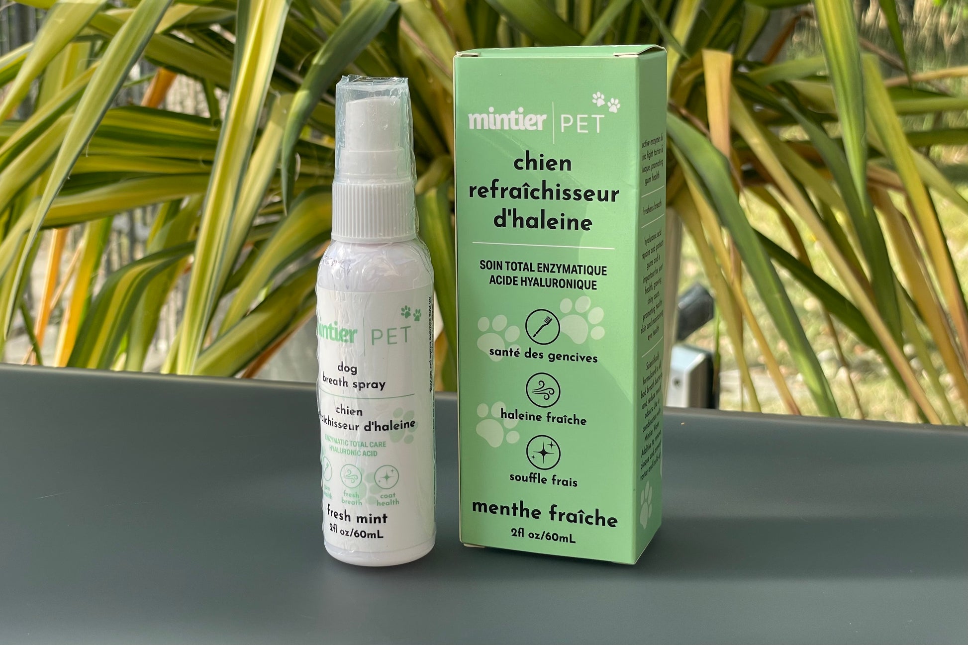 Mintier Pet Breath Freshener for Dogs with its packaging next to it.|Rafraichisseur haleine pour chien Mintier Pet avec son emballage à côté.