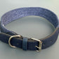 Blue dyed cork dog collar with a metal buckle on a gray background.