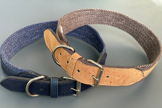 Two dog collars, one blue and one brown with cork texture, on a reflective surface.|Deux colliers pour chien, un bleu et un marron avec texture liège, sur une surface réfléchissante.