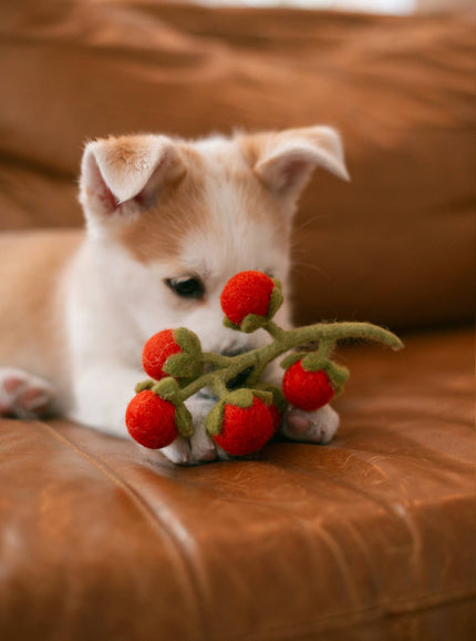 Vigne de tomates cerises en laine - Peluche