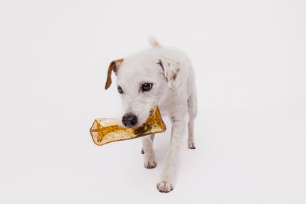 Bacon Collagen Dental Chew