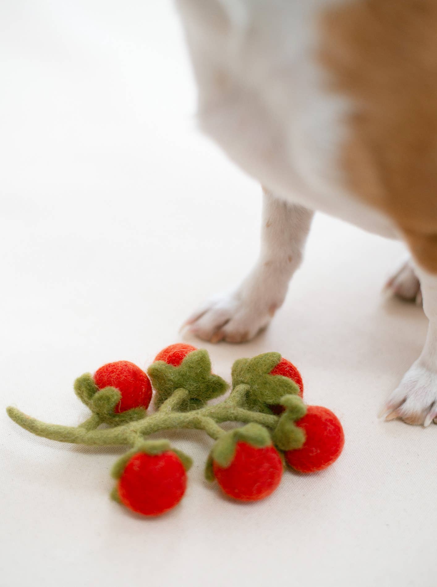 Vigne de tomates cerises en laine - Peluche