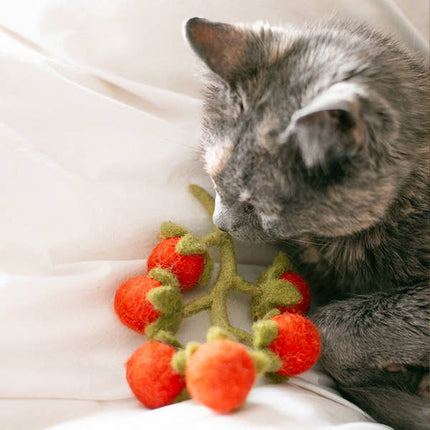 Vigne de tomates cerises en laine - Peluche