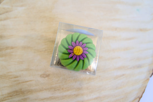 Green flower-shaped dog treat on a clear square base, placed on a wooden surface.|Friandise pour chien en forme de fleur verte, posée sur une base carrée transparente, elle-même placée sur une surface en bois.