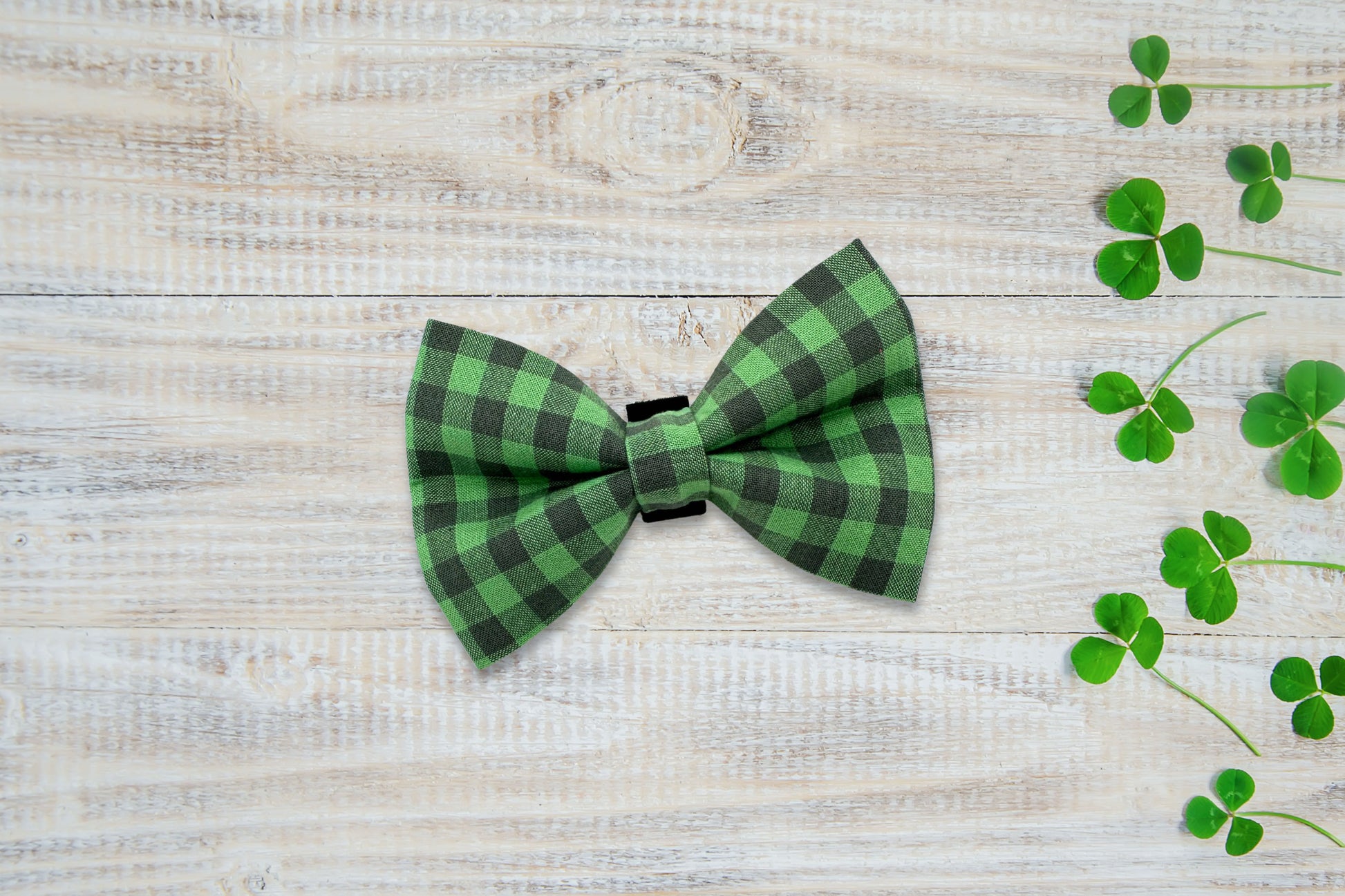 Green checkered dog bow tie on a wooden surface with shamrock leaves.