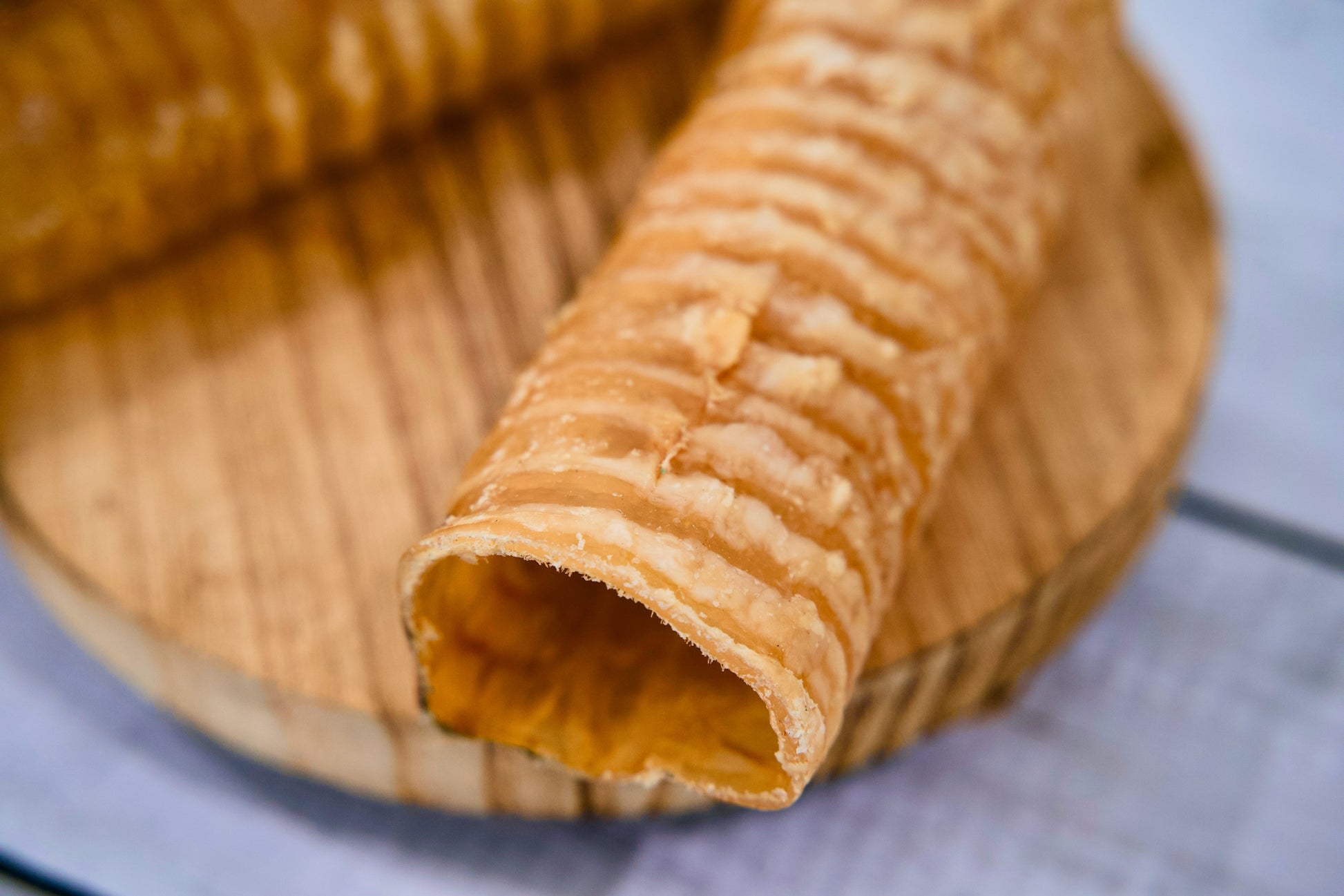A close-up of the large collagen beef trachea for dogs.