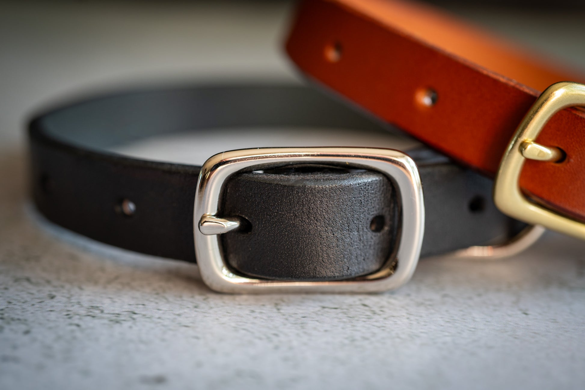 Close-up view of the nickel plated brass buckle of the black leather 3/4 inch dog collar. | Vue rapprochée de la boucle en laiton nickelé du collier pour chien en cuir noir de 3/4 de pouce.