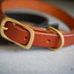Close-up view of the natural brass buckle of the brown leather dog collar 3/4 inch.
